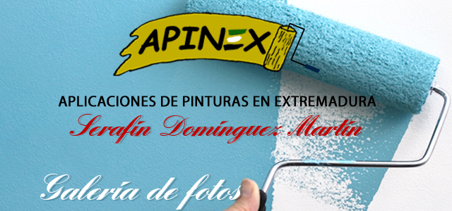 Galer&iacute;a de fotos de pintura decorativa