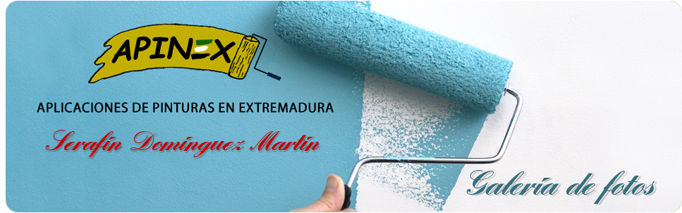 Galer&iacute;a de fotos de pintura decorativa